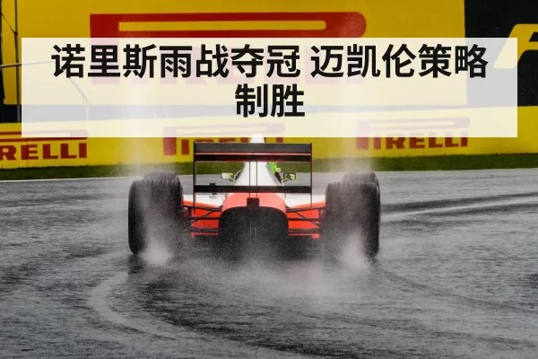 诺里斯雨战夺冠 迈凯伦策略制胜
